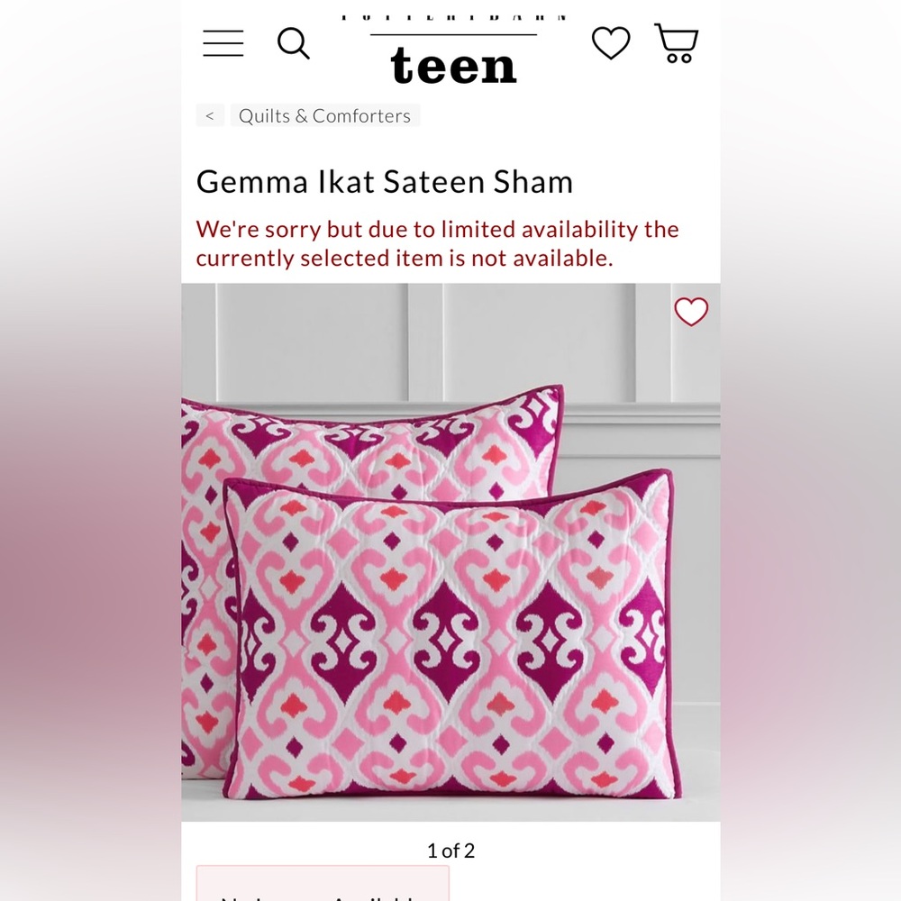 Pottery Barn Sham Standard - New